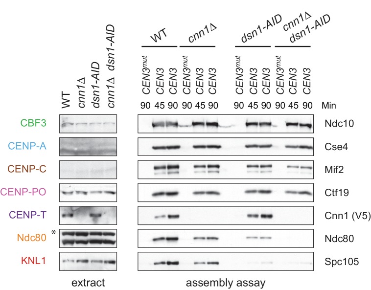 Figure 6—figure supplement 1.