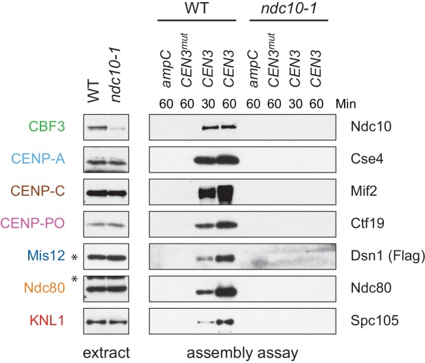 Figure 1—figure supplement 2.