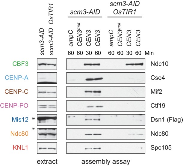 Figure 2—figure supplement 2.