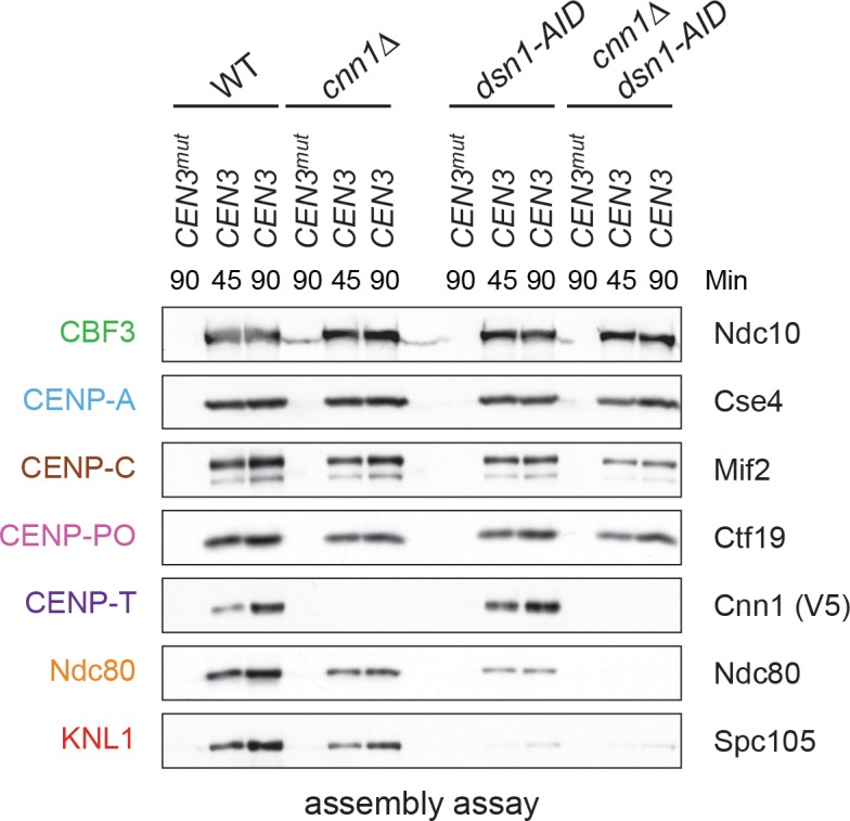 Figure 6.