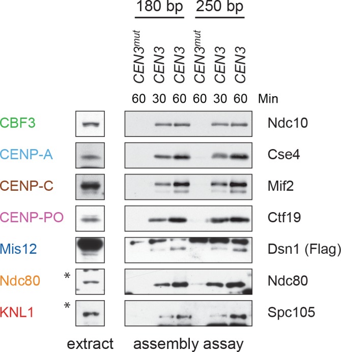 Figure 2—figure supplement 3.