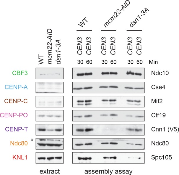 Figure 7—figure supplement 2.