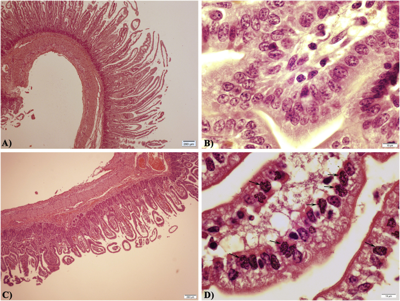 Fig. 8