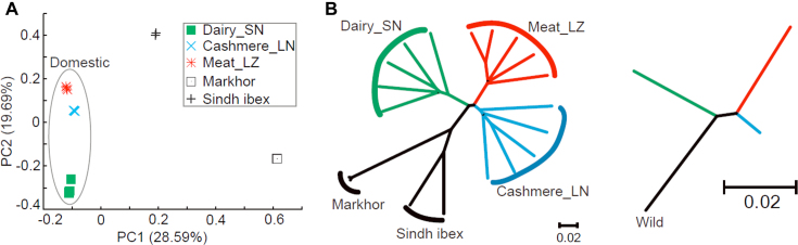 Figure 1: