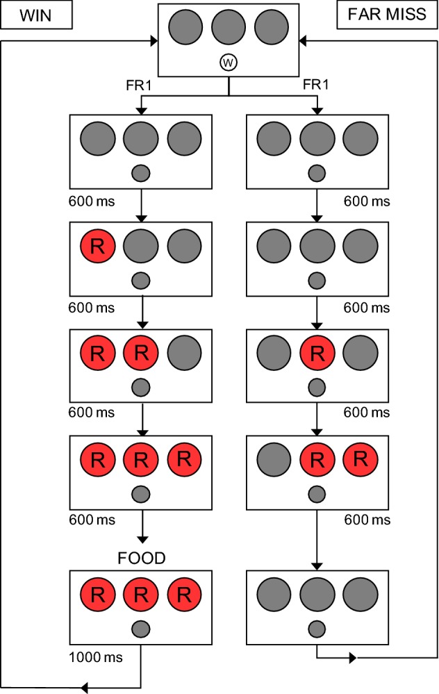 Fig. 1