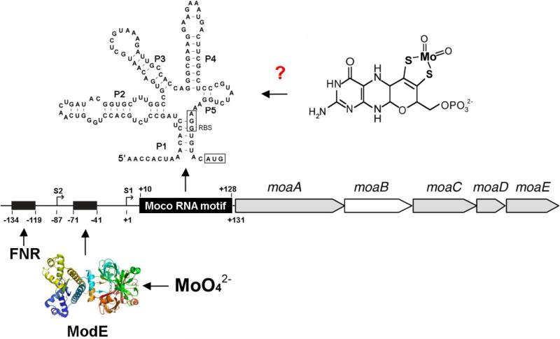 Figure 9