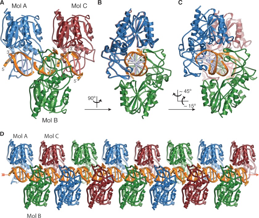 FIGURE 2.