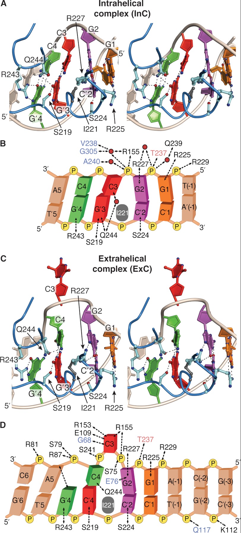 FIGURE 3.