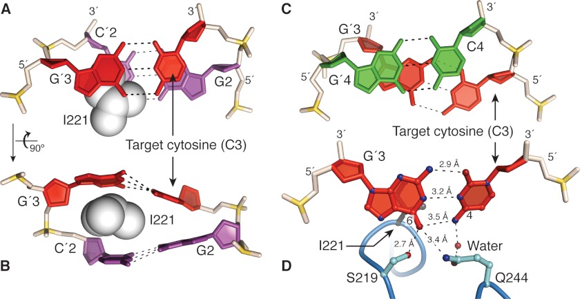 FIGURE 4.