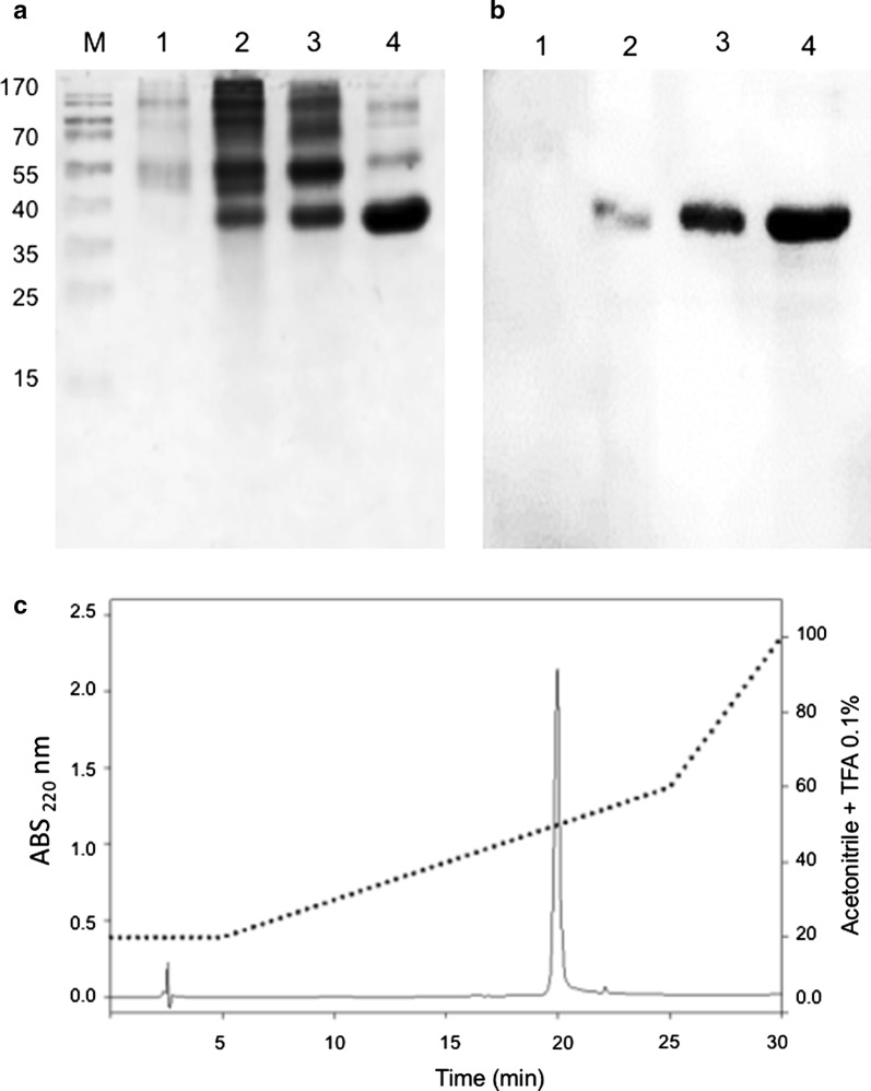 Fig. 3