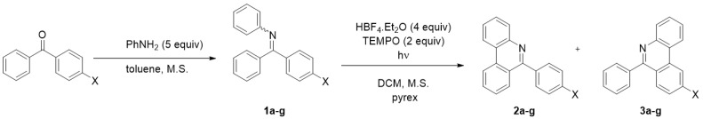 Scheme 2