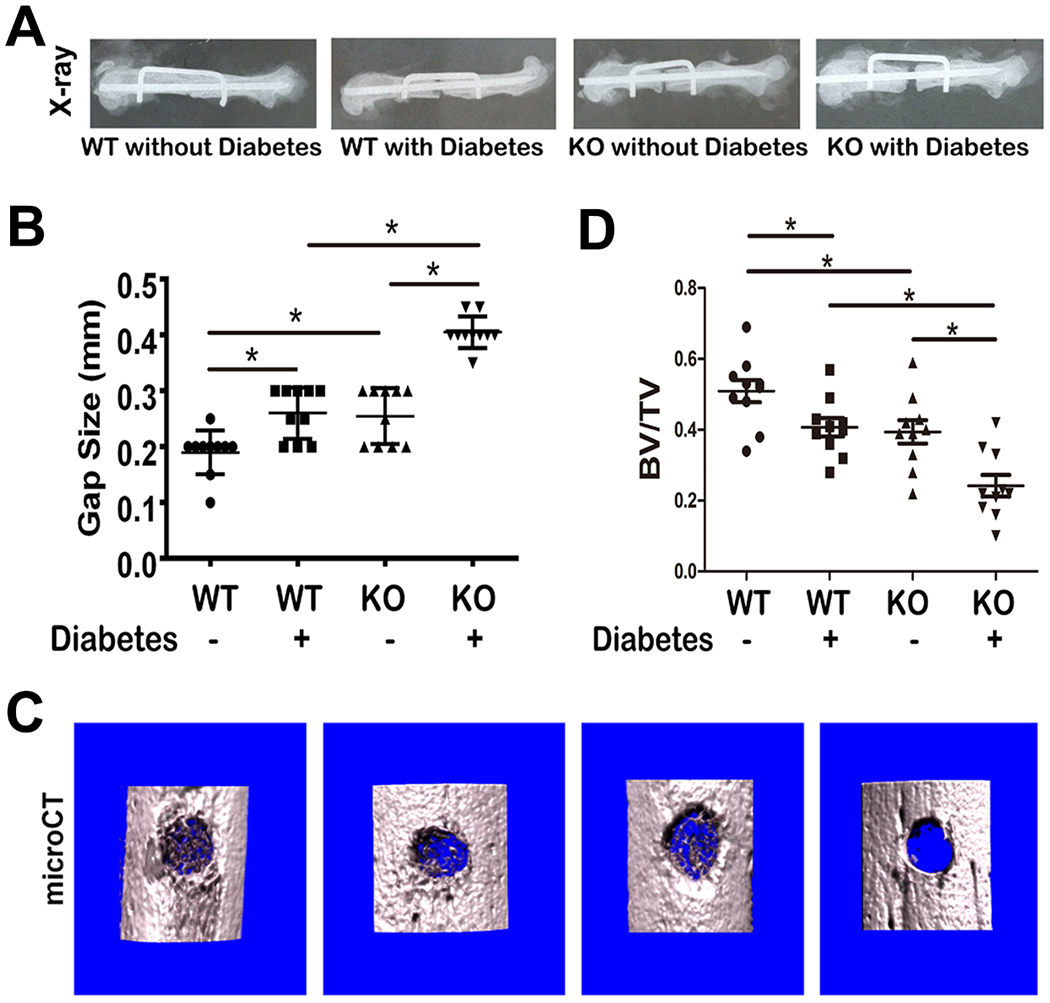 Fig.1