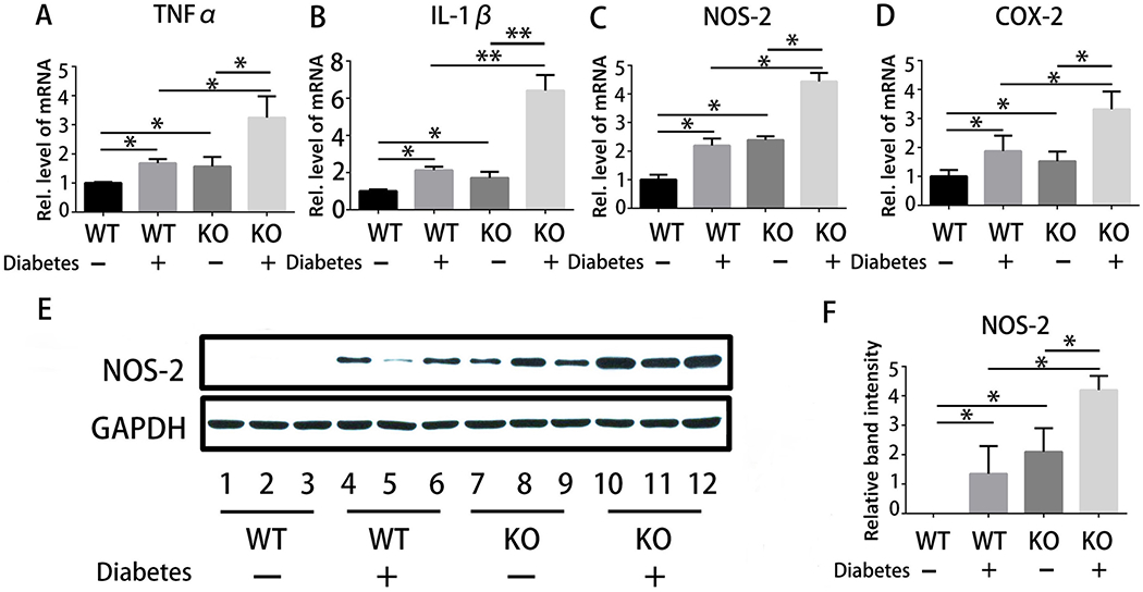 Fig.2