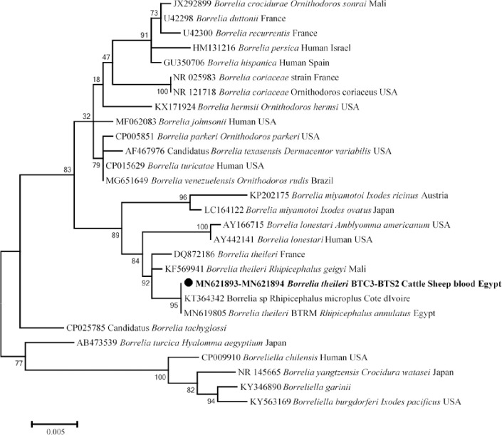 Fig 6