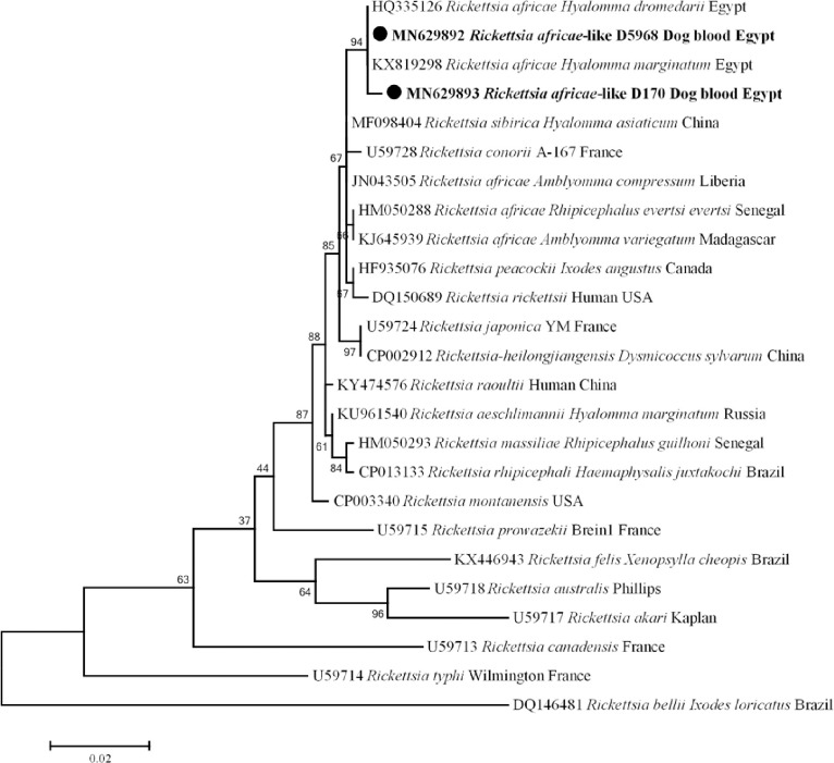 Fig 5