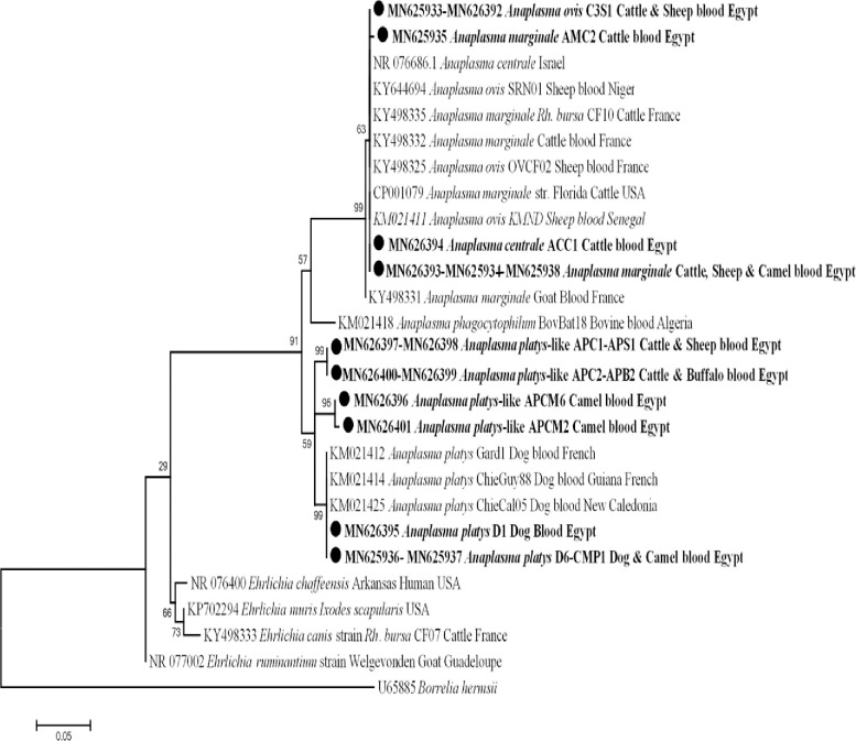 Fig 3