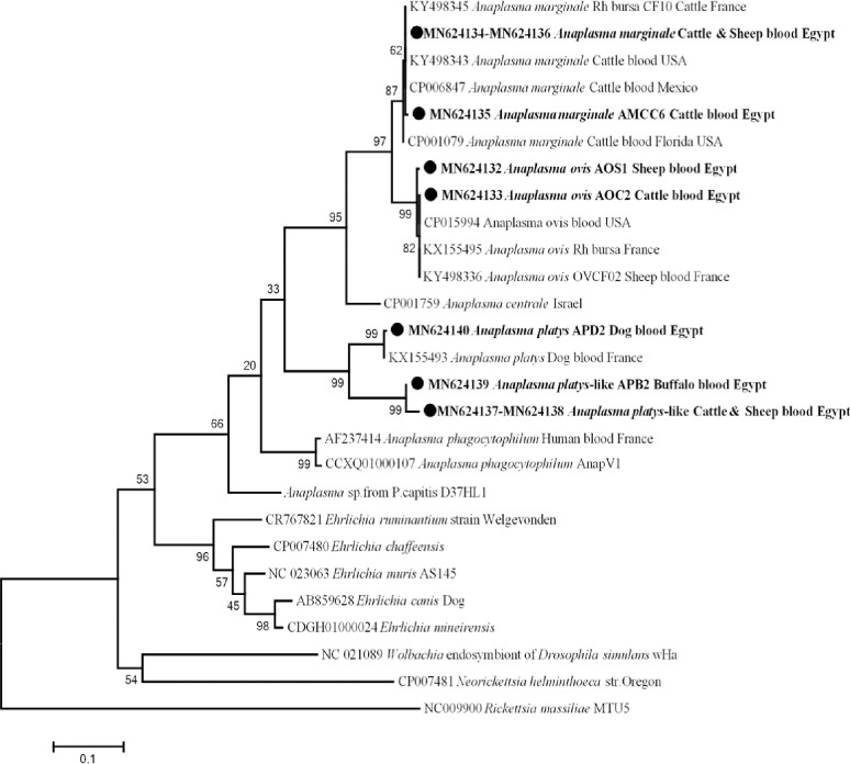 Fig 4