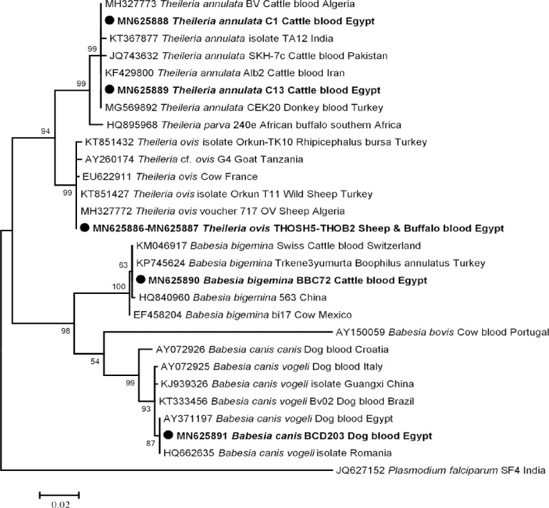 Fig 2