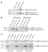 Fig. 8