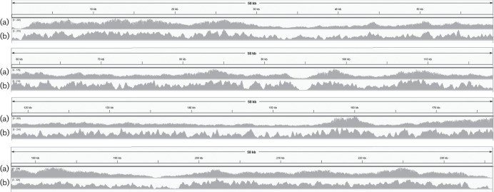 Fig. 3.