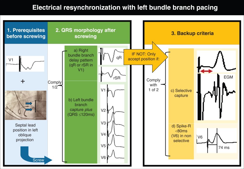 Graphical abstract