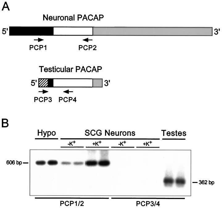 Fig. 9.