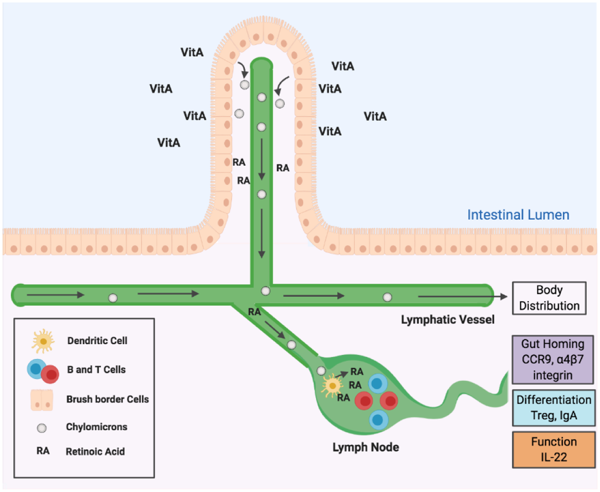 Figure 9.