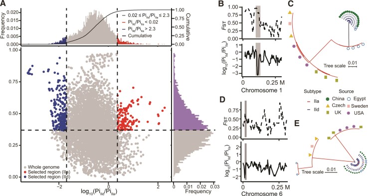 Fig. 7.