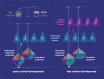 Graphical Abstract