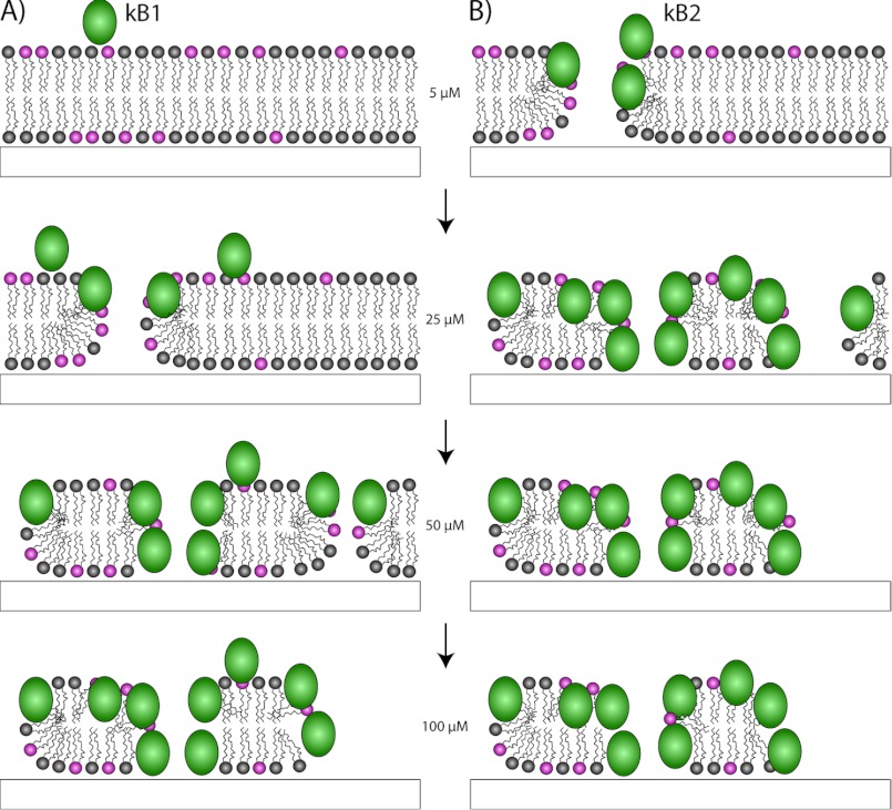 FIGURE 9.