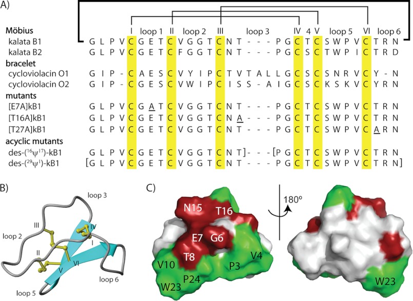 FIGURE 1.