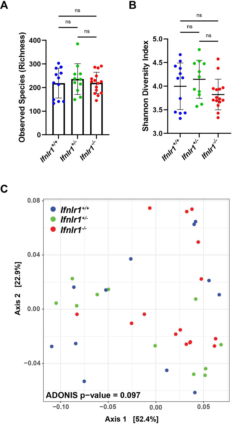 Figure 1—figure supplement 1.