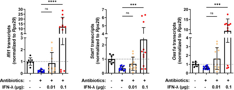 Figure 2—figure supplement 2.