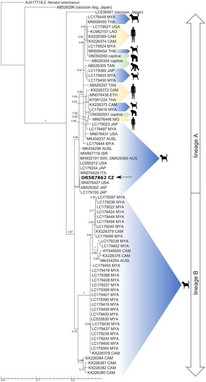 Figure 2.