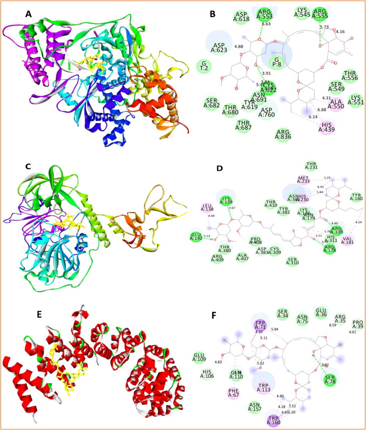 Figure 2.