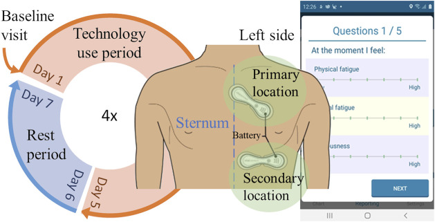 FIGURE 1