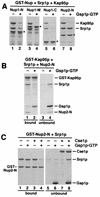 FIG. 7