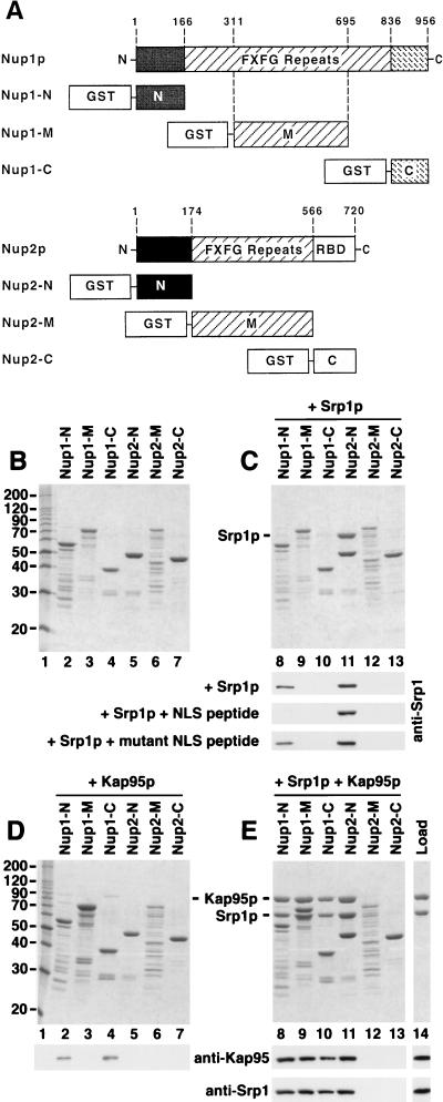 FIG. 5