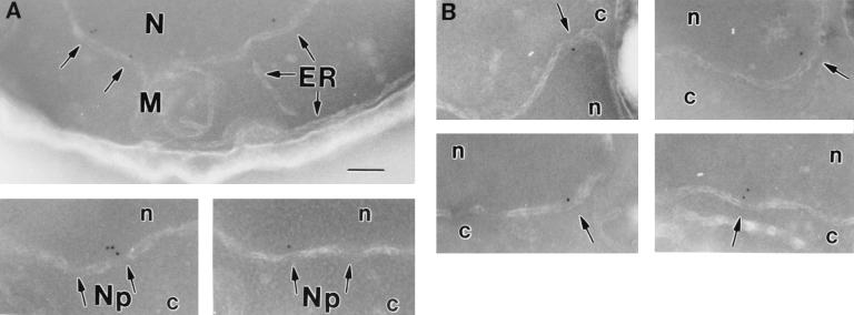 FIG. 3