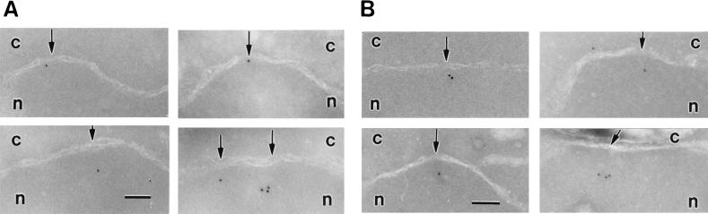 FIG. 8