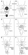 FIG. 9