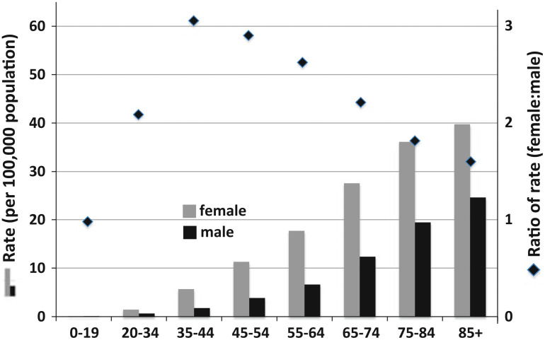 Figure 1