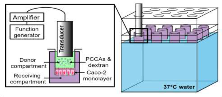 Figure 1: