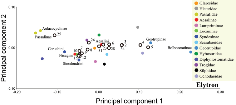 Figure 7.