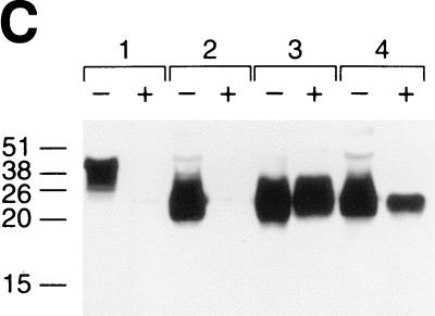 FIG. 5