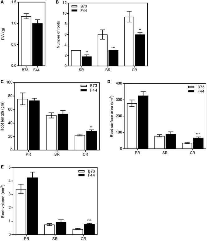 FIGURE 4