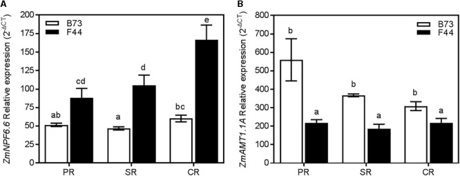 FIGURE 7