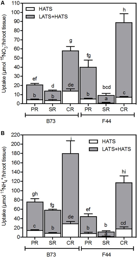 FIGURE 6