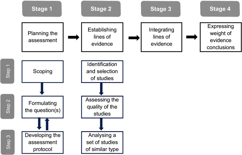 Flow diagram showing weight of evidence assessment. The stages are as follows: Planning the assessment, Establishing LOE, Integrating LOE, Expressing WOE conclusions.