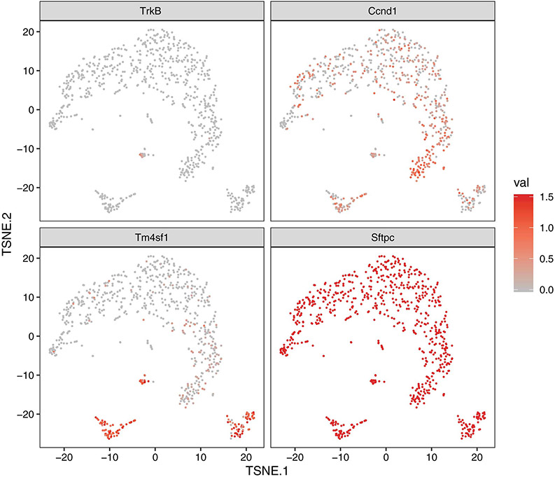 Extended Data Fig. 5